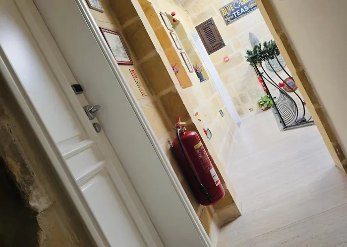 루치아노 부티크